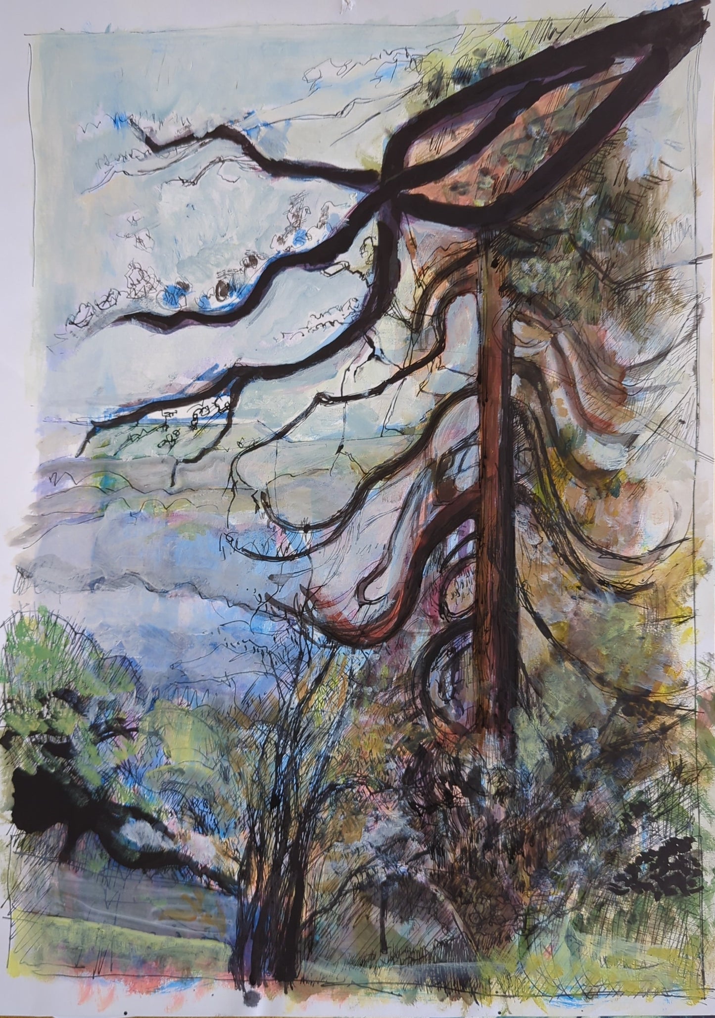 Trees on the Malvern Hills - Simon Blundell